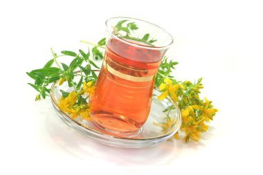 St John's Wort tea clipart