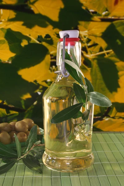 Olive oil — Stock Photo, Image