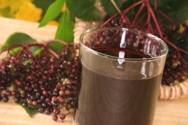 Elderberry juice clipart