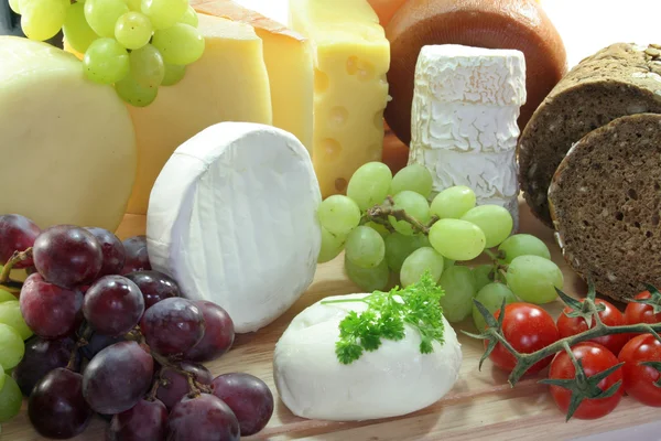 奶酪分类 — 图库照片