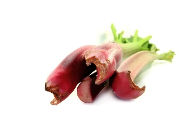 Rhubarb — Fotografie, imagine de stoc