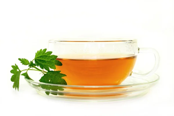 Chá de urtiga — Fotografia de Stock