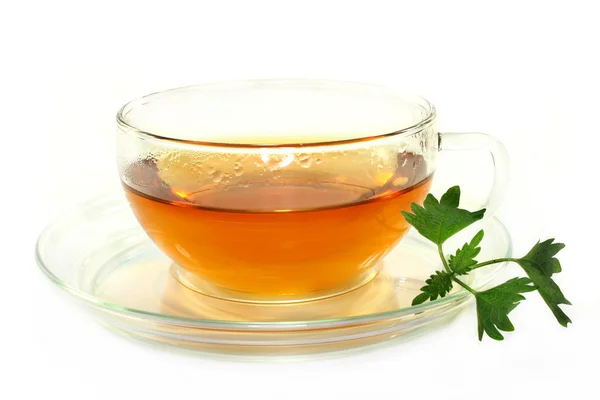 Nettle tea — Stock Photo, Image