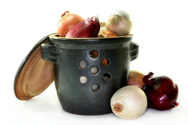 Cipolla Pot — Foto Stock