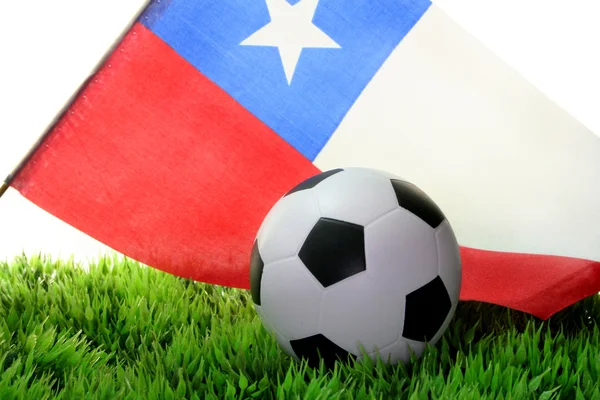 Soccer World Cup 2010 — Stock Photo, Image
