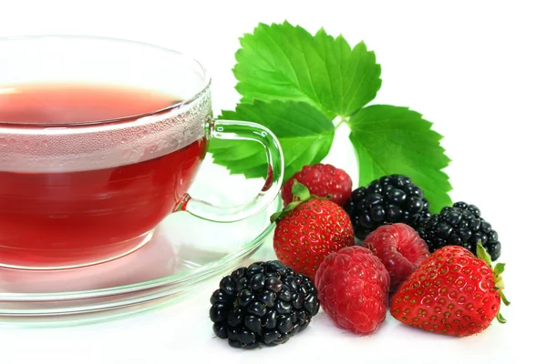 Forest Fruit Tea — Stock Photo, Image