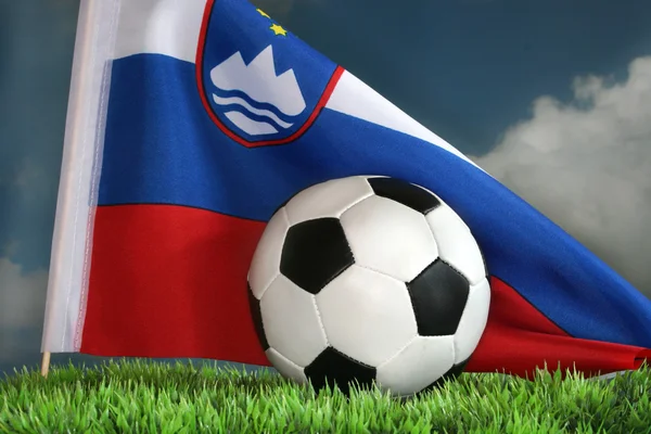 World Cup 2010 — Stock Photo, Image