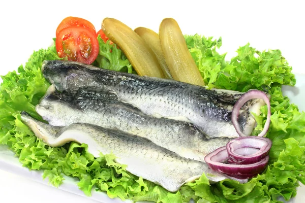 Marinated herring — Stock Photo, Image