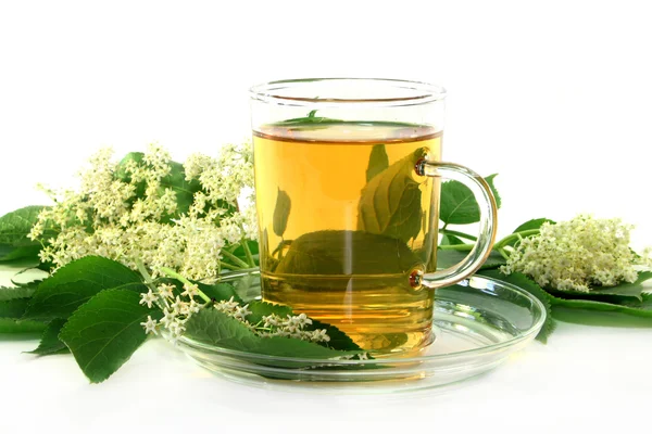 Bodzavirág tea — Stock Fotó