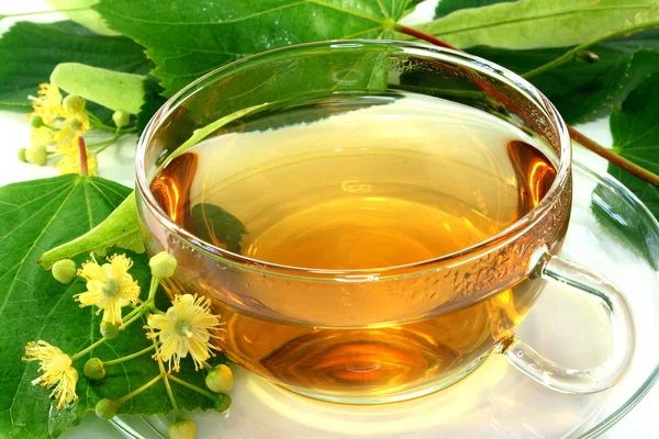 Linden flower tea — Stock Photo, Image
