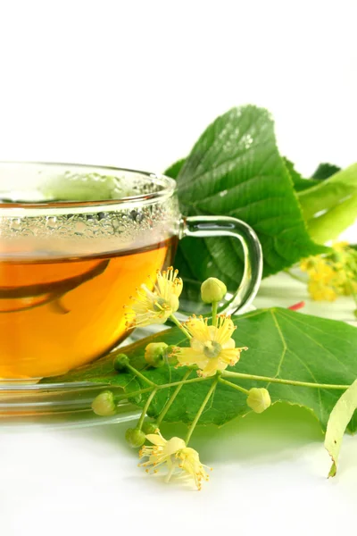 Цветочный чай Линден — стоковое фото