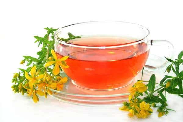 St. sarı kantaron çayı — Stok fotoğraf
