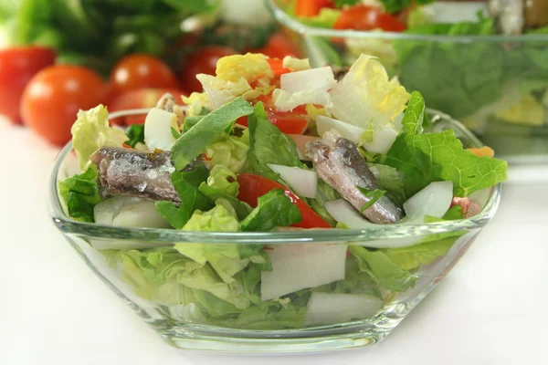 Chef-kok salade — Stockfoto