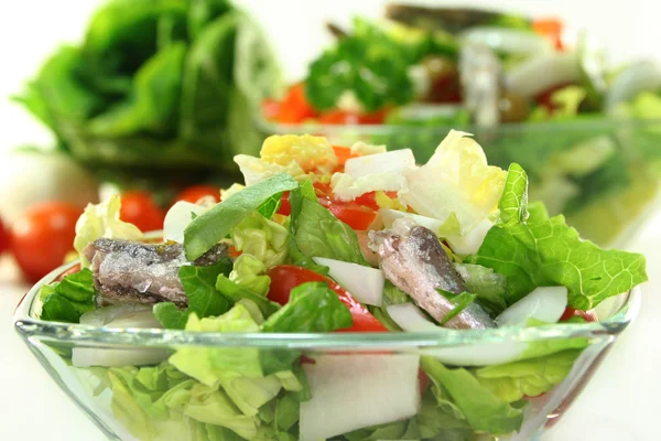 Salada chef — Fotografia de Stock