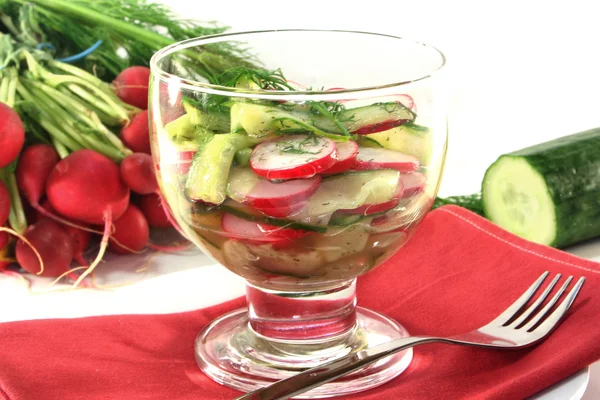 Radijs-komkommer salade — Stockfoto