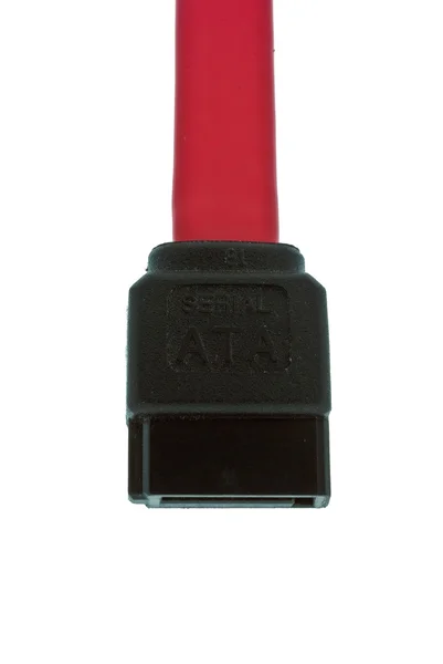 SATA connector — Stock Photo, Image