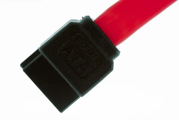 SATA connector — Stock Photo, Image