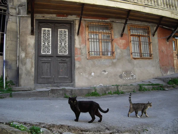 stock image Old house, Tbilisi