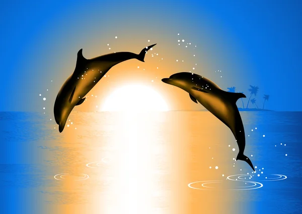 Dolphins di matahari terbenam - Stok Vektor