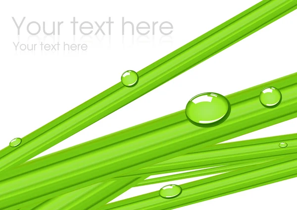 Stock vector Grass background