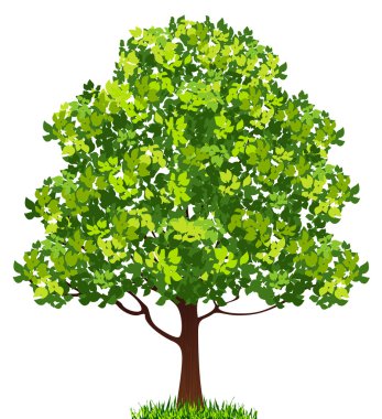 Tree clipart