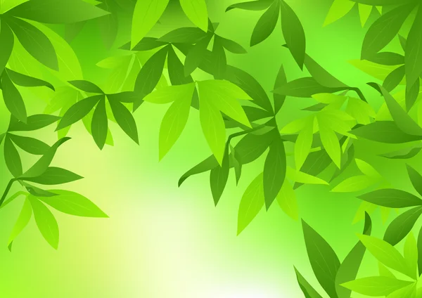 Бамбуковый лист — стоковый вектор