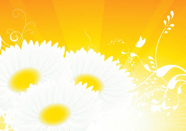 Camomille fond jaune — Image vectorielle