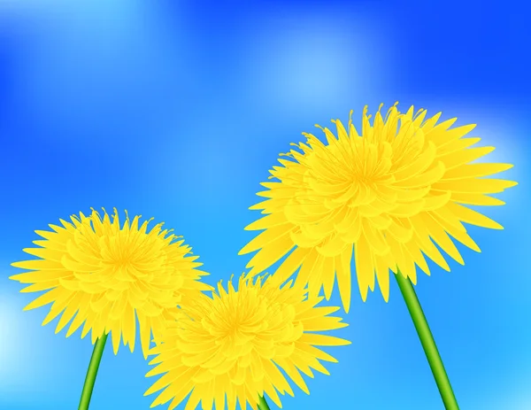 Pissenlit jaune — Image vectorielle