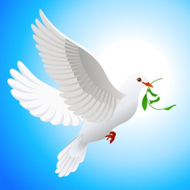 Dove holding leaf clipart