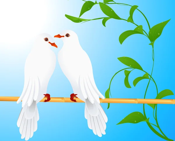 Deux colombes — Image vectorielle