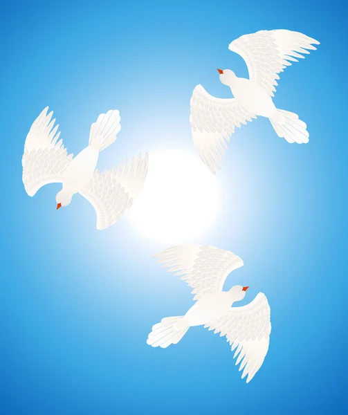 White doves — Stock Vector