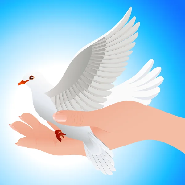 Dove in human hand — Stock Vector