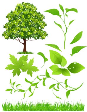 Leaf collection clipart