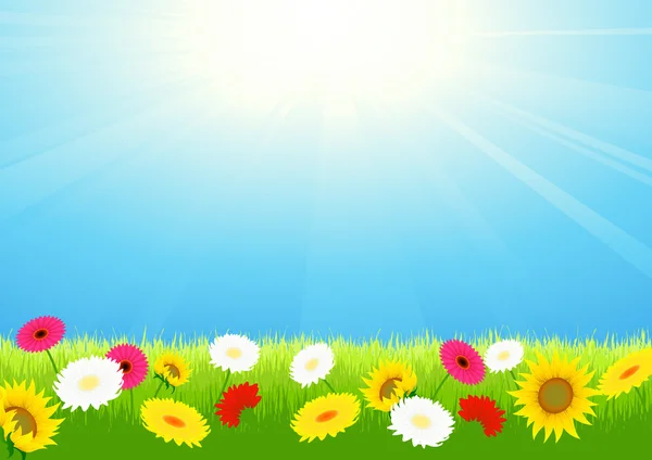 Paysage estival lumineux — Image vectorielle