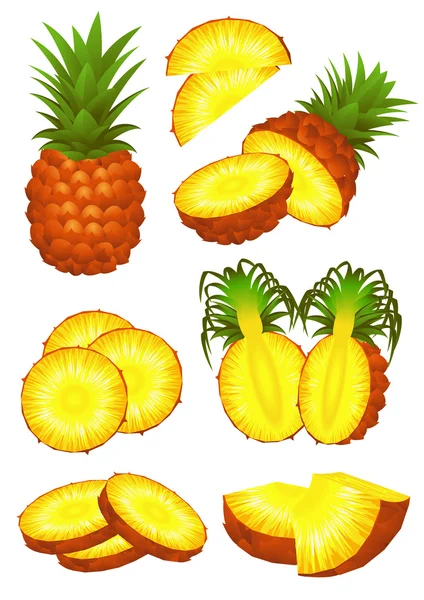 Ensemble de pièces Ananas — Image vectorielle