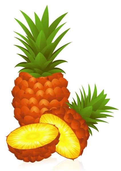 Ananas — Stockový vektor