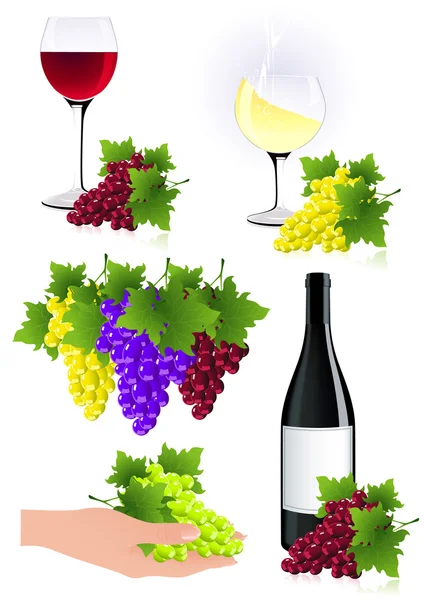Element kolekcji winorośli — Wektor stockowy