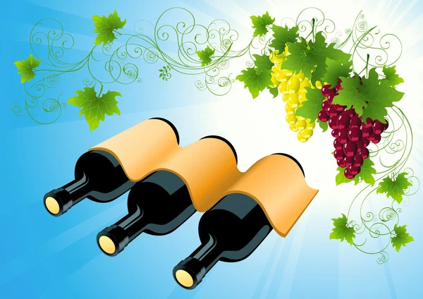 Bottiglia di vino sfondo — Vettoriale Stock