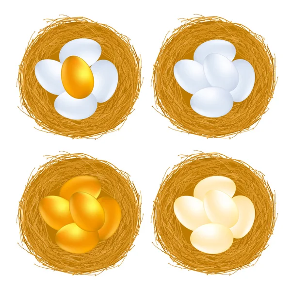 Golden eggs — Stock Vector