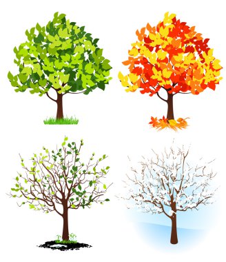 Four season trees clipart