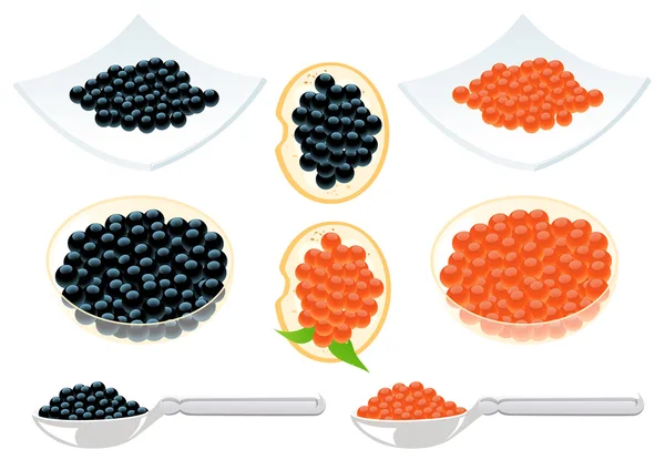Caviar rouge et noir — Image vectorielle