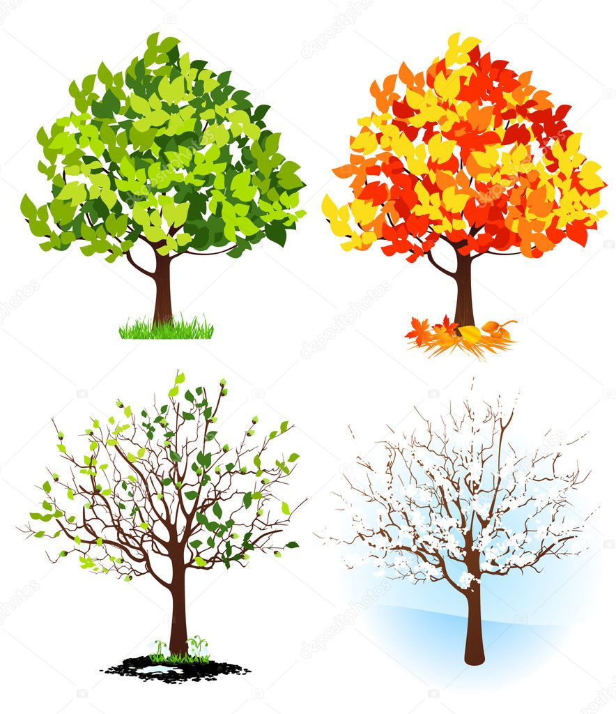 Four season trees