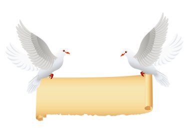 Doves with banner isolated clipart