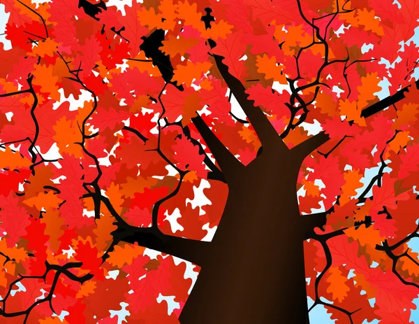 Élevé d'un arbre — Image vectorielle