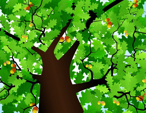 Élevé d'un arbre — Image vectorielle
