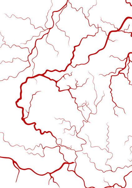 Blood vessel background