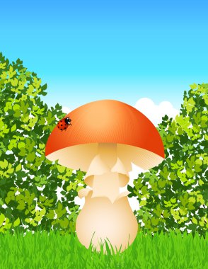 Mushroom in the forest clipart