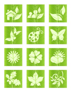 Leaf icons clipart