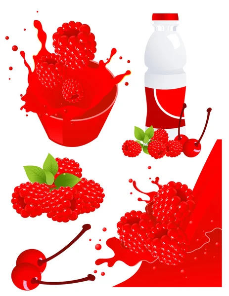 Forest berry products — Stock Vector