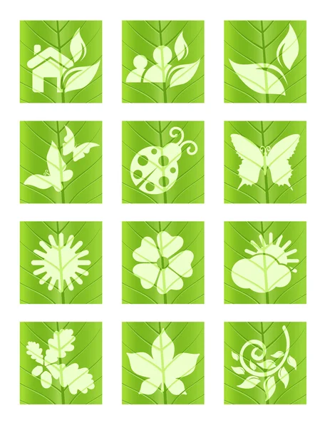 Iconos de hojas — Vector de stock